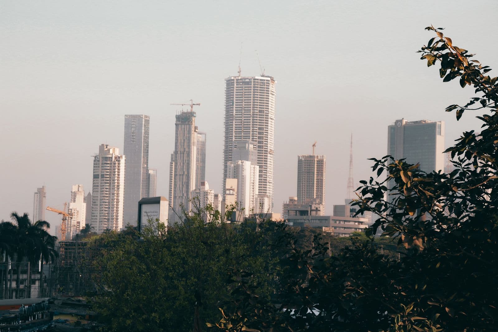 Mumbai's skyline with residential towers rising above a belt of trees on a clear day